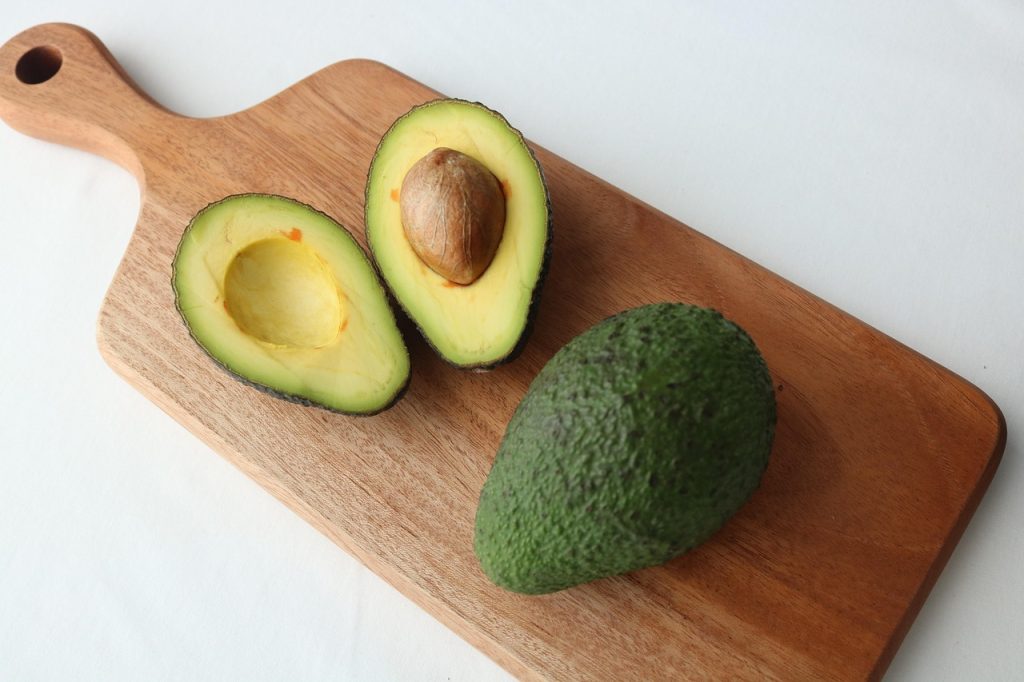 avocado seed sprouting
