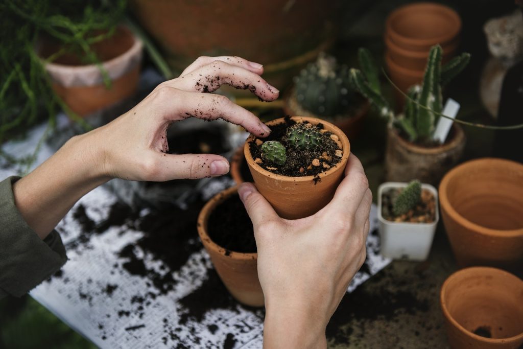 garden soil