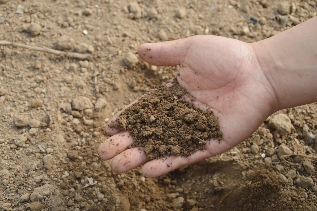 organic fertilizer